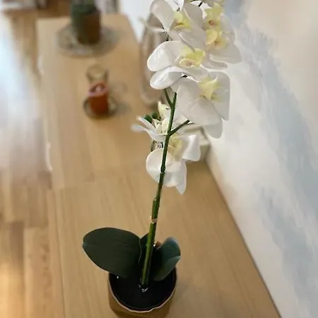 Luxury And זלאטיבור