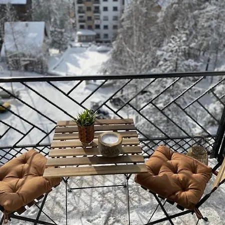 Luxury And Apartment